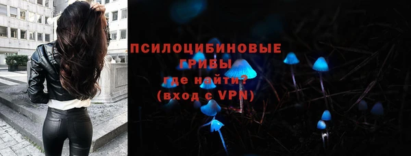 индика Алексеевка