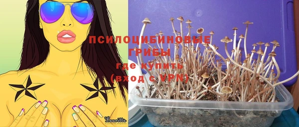 индика Алексеевка