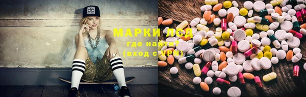 индика Алексеевка