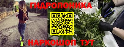 амф Краснодар